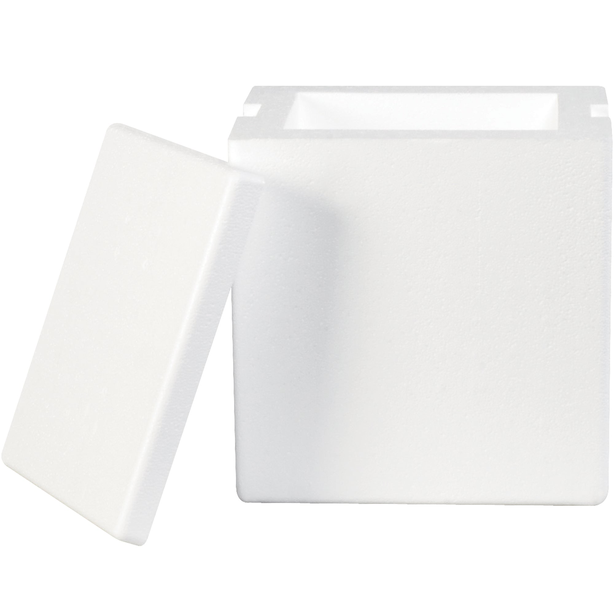 8-x-6-x-9-insulated-foam-containers-209f_1