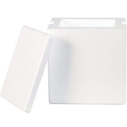 8-x-6-x-9-insulated-foam-containers-209f_1