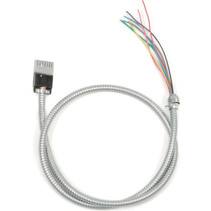 Interion Multi Circuit Starter Cable - 144" (WB249055)