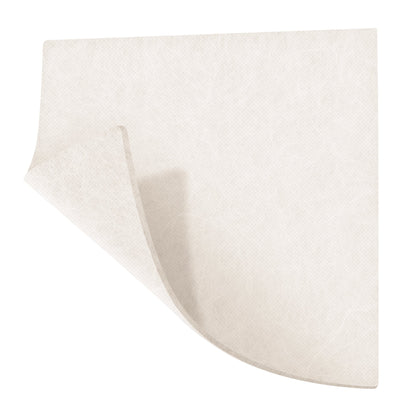 Sorbalgon® Alginate Dressing 4 X 4 Inch Square (473914_BX)