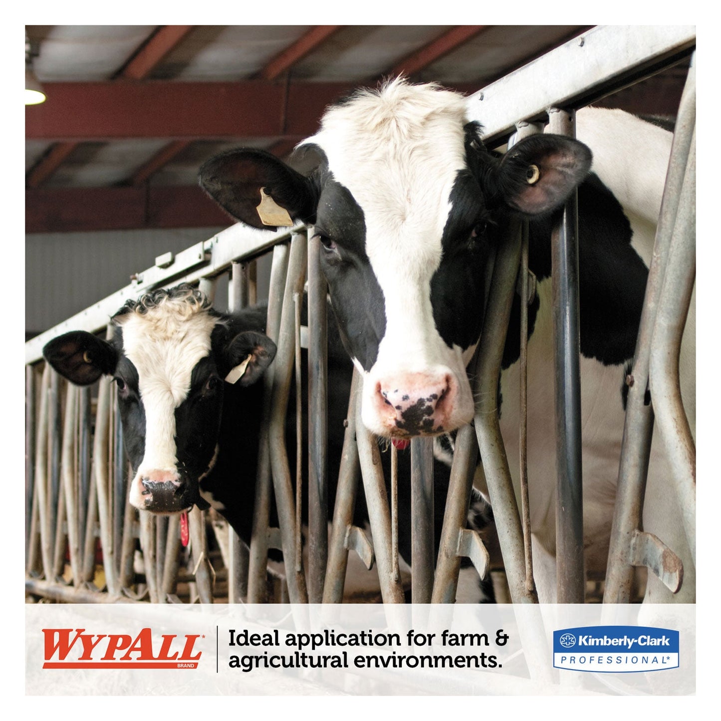 wypall-l10-sani-prep-dairy-towels-num-01772kim_4