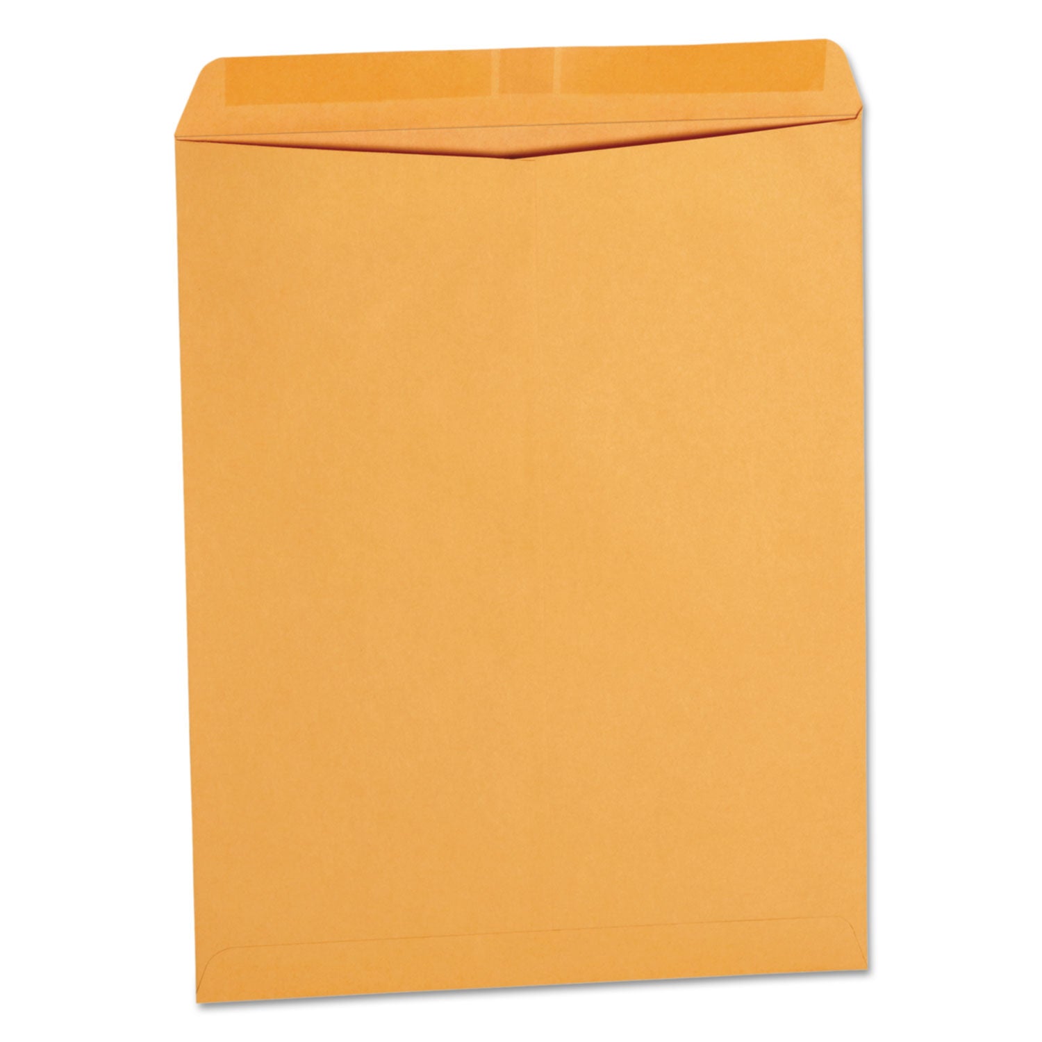 universal-catalog-envelope-num-unv45165_1
