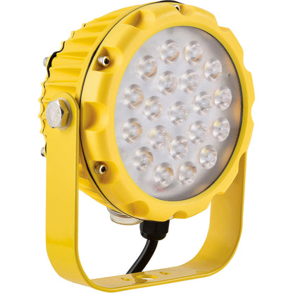 Global Industrial LED Dock Light Head, 40W, 4900 Lumens, On/Off Switch, 9' Cord w/ Plug (WB288151)