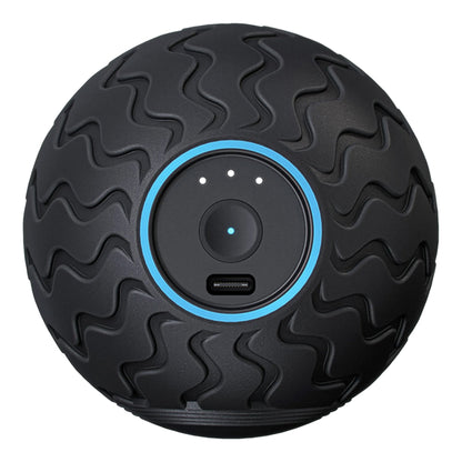 Wave Solo Vibration Therapy Exercise Ball Entire Body (1248598_EA)