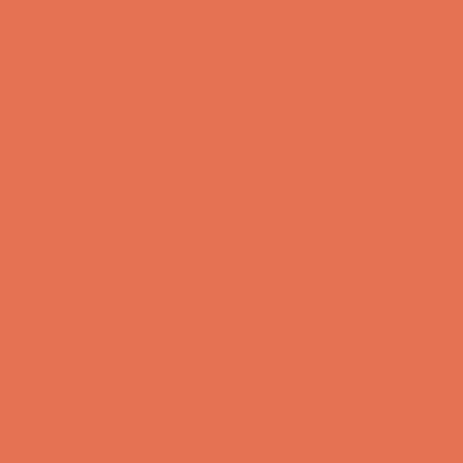 McKesson Sprague Stethoscope Orange 2-Tube 22 Inch Tube Double Sided Chestpiece (1089448_EA)
