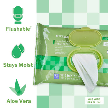 McKesson Flushable Personal Wipe Soft Pack Scented 48 Count (1241746_CS)