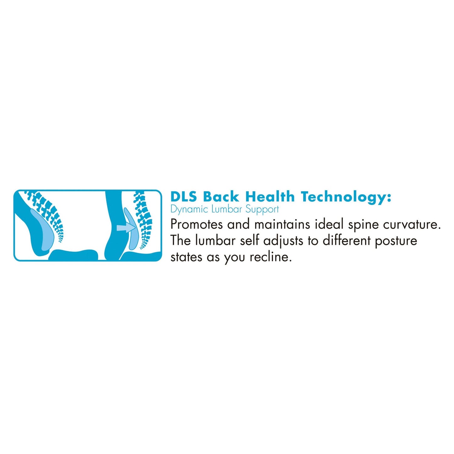 la-z-boy-commercial-2000-big-and-tall-executive-chair-with-dynamic-lumbar-support-num-lzb48956_2