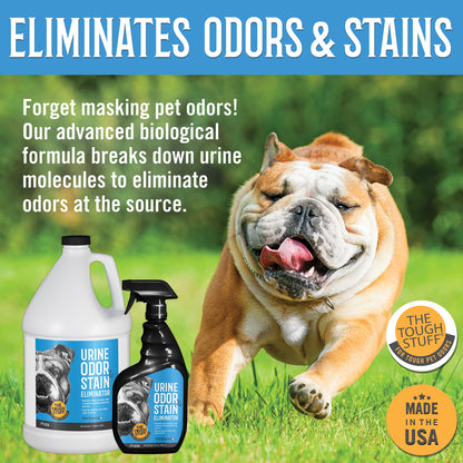 Tough Stuff® Urine Odor & Stain Eliminator, Original, 32oz, 12/Case (HOS32NTP-CS)