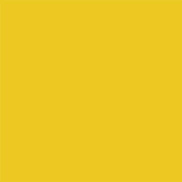 Proscope™ 664 Disposable Stethoscope Yellow 1-Tube 22 Inch Tube Single Sided Chestpiece (493334_CS)