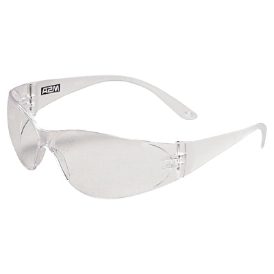 MSA Arctic Protective Eyewear, Clear Lens, Anti-Scratch, Clear Frame (454-697514)