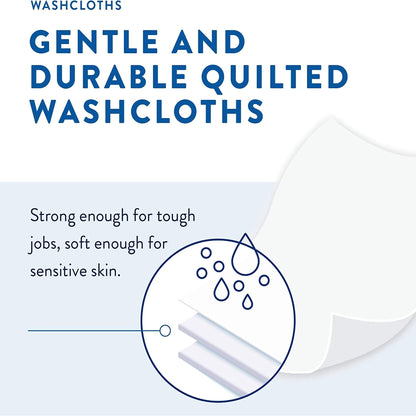 Prevail® Personal Cleansing Wipe Soft Pack Scented 48 Count (1200322_PK)