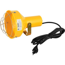 Global Industrial Dock Light Head, Par38 Bulb Compatible, 8' Cord w/ Plug (WB501754)