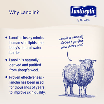 Lantiseptic® Dry Skin Therapy Skin Protectant 4 oz. Tube Lanolin Scent Cream (892681_EA)