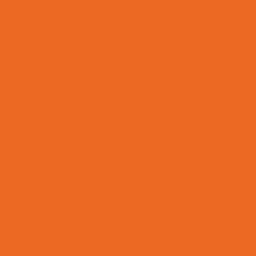SkiL-Care™ PathoShield Gait Belt 60 Inch Length Orange Plastic Coated Webbing (722383_EA)