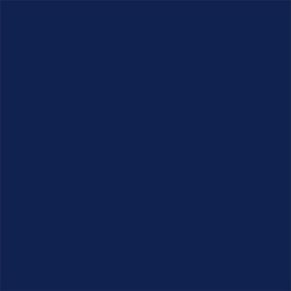 Delta-Lite® Plus Cast Tape 2 Inch X 12 Foot Fiberglass / Resin Deep Blue (653364_BX)