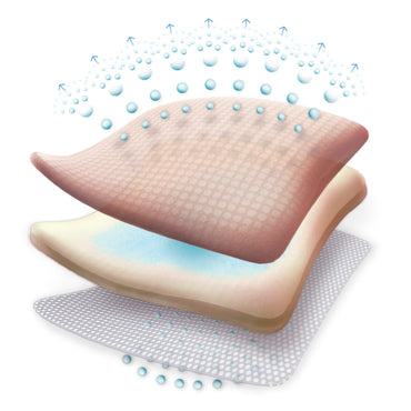 Allevyn Gentle Border Foam Dressing 4 X 4 Inch With Border Film Backing Silicone Gel Adhesive Square Sterile (834360_EA)