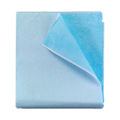 McKesson Stretcher Sheet Flat 40 W X 90 L Inch Blue Polyback Airlaid Disposable (148016_CS)