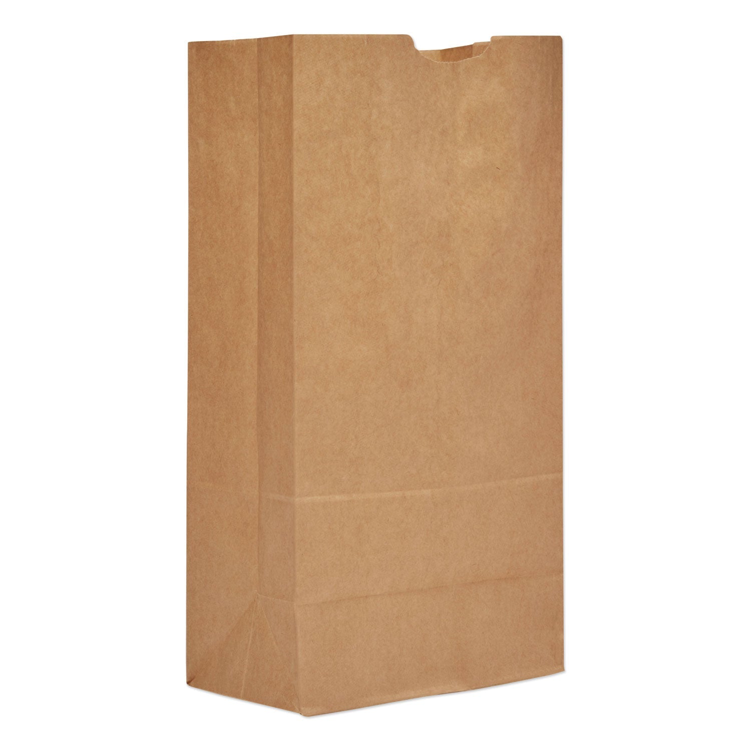 gen-grocery-paper-bags-num-baggk20-500_1