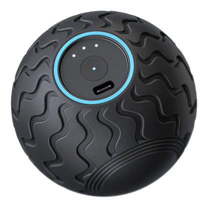 Wave Solo Vibration Therapy Exercise Ball Entire Body (1248598_EA)