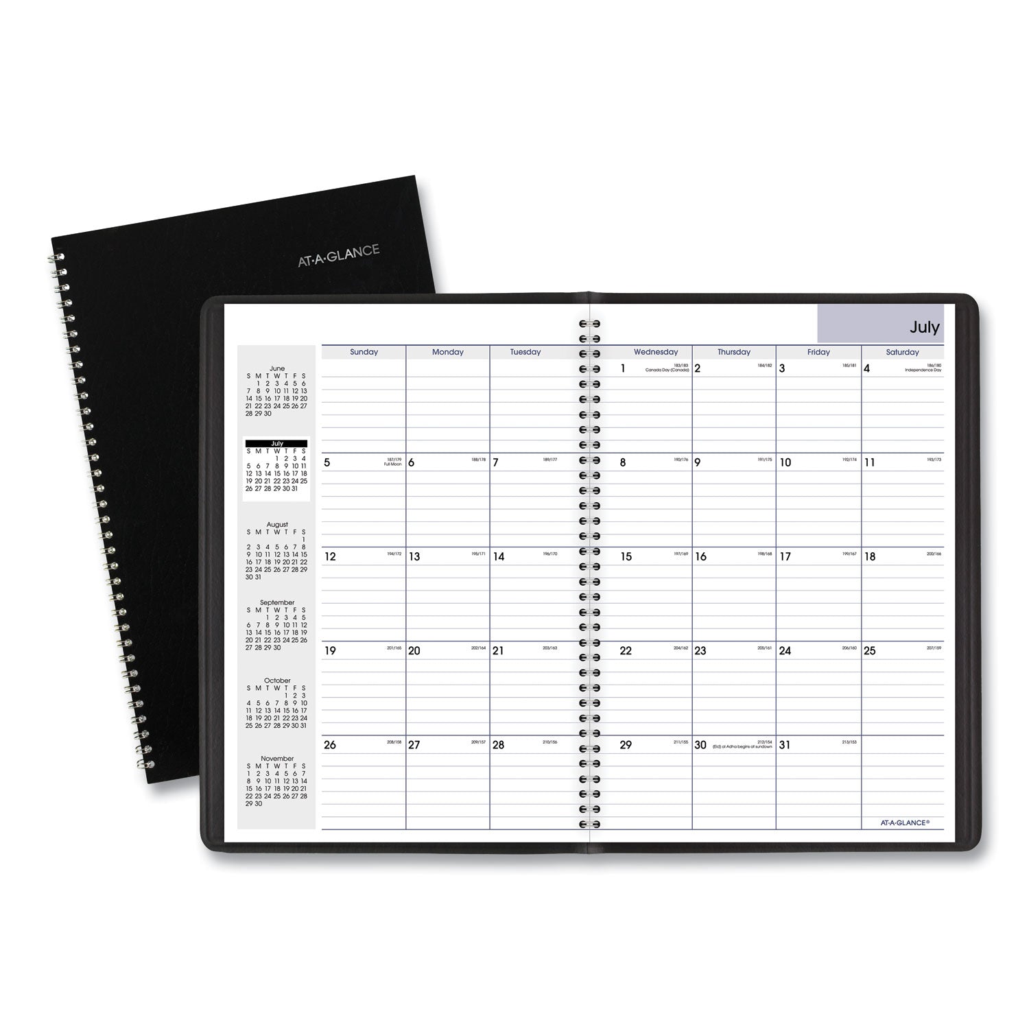 at-a-glance-dayminder-monthly-planner-num-aagay200_1