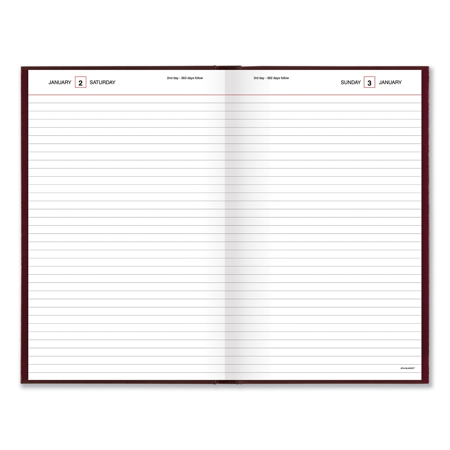 at-a-glance-standard-diary-daily-diary-num-aagsd37613_2