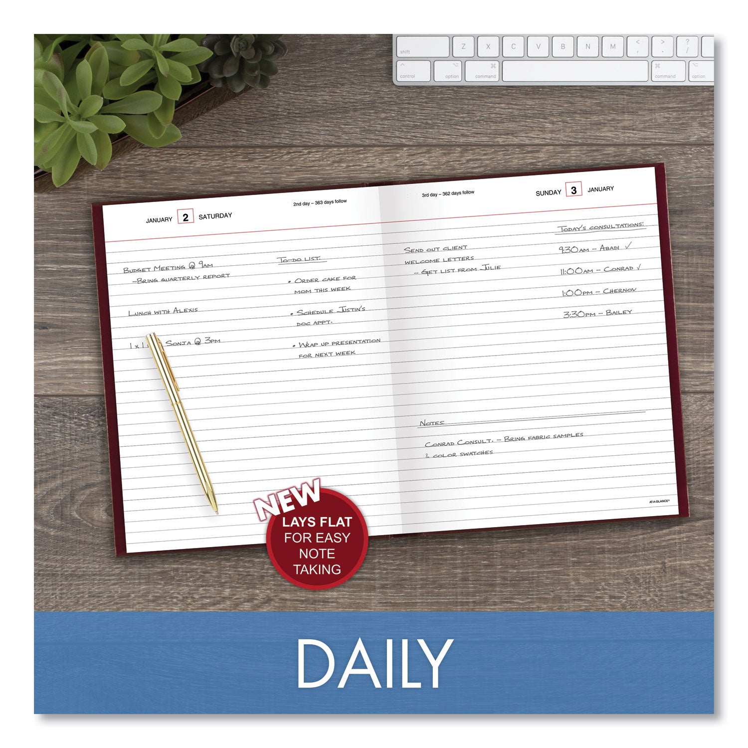 at-a-glance-standard-diary-daily-diary-num-aagsd37413_6
