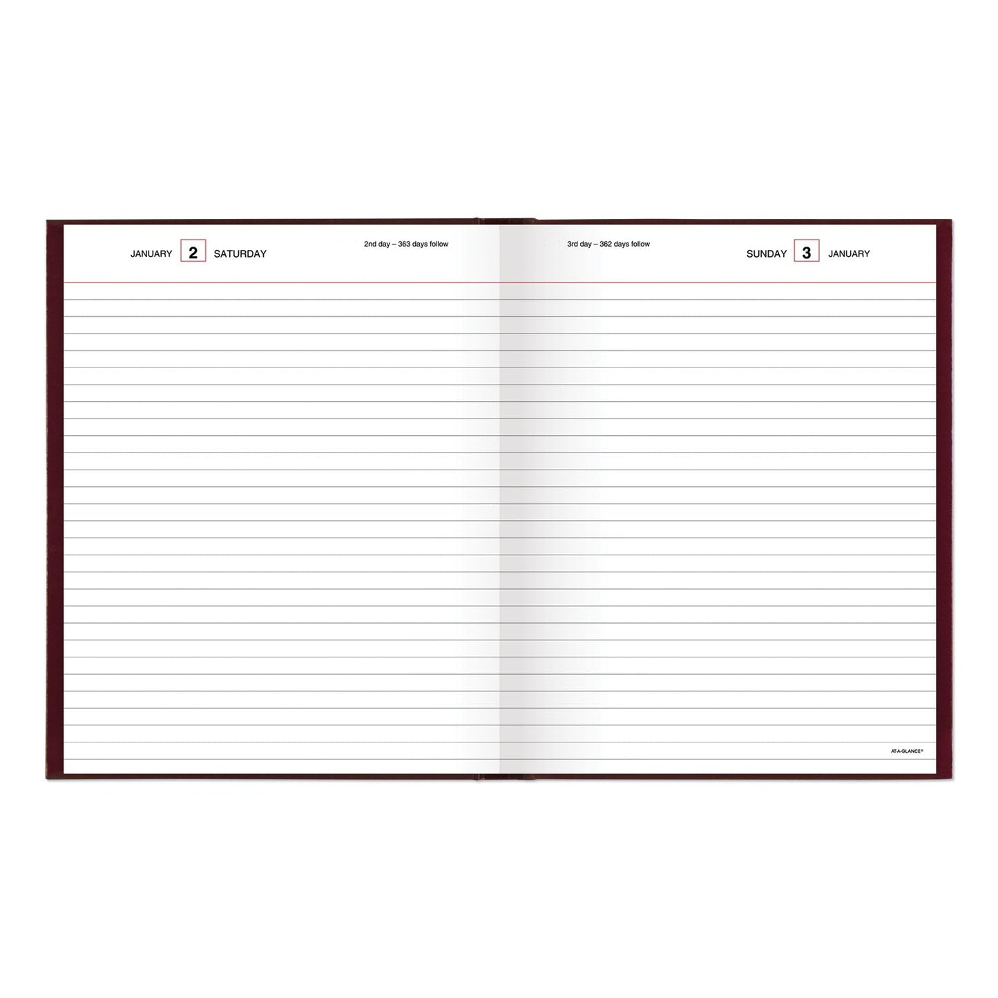 at-a-glance-standard-diary-daily-diary-num-aagsd37413_2