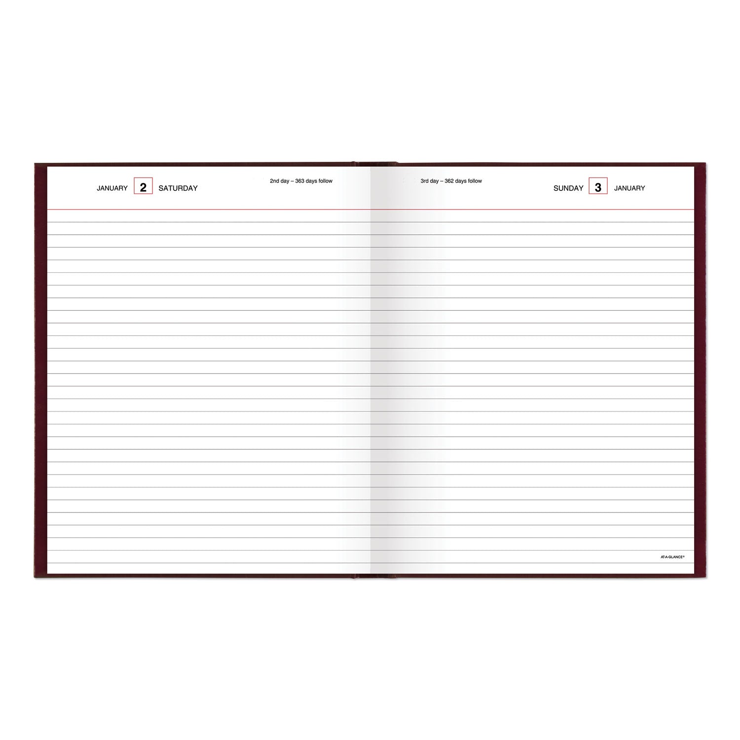 at-a-glance-standard-diary-daily-diary-num-aagsd37413_2