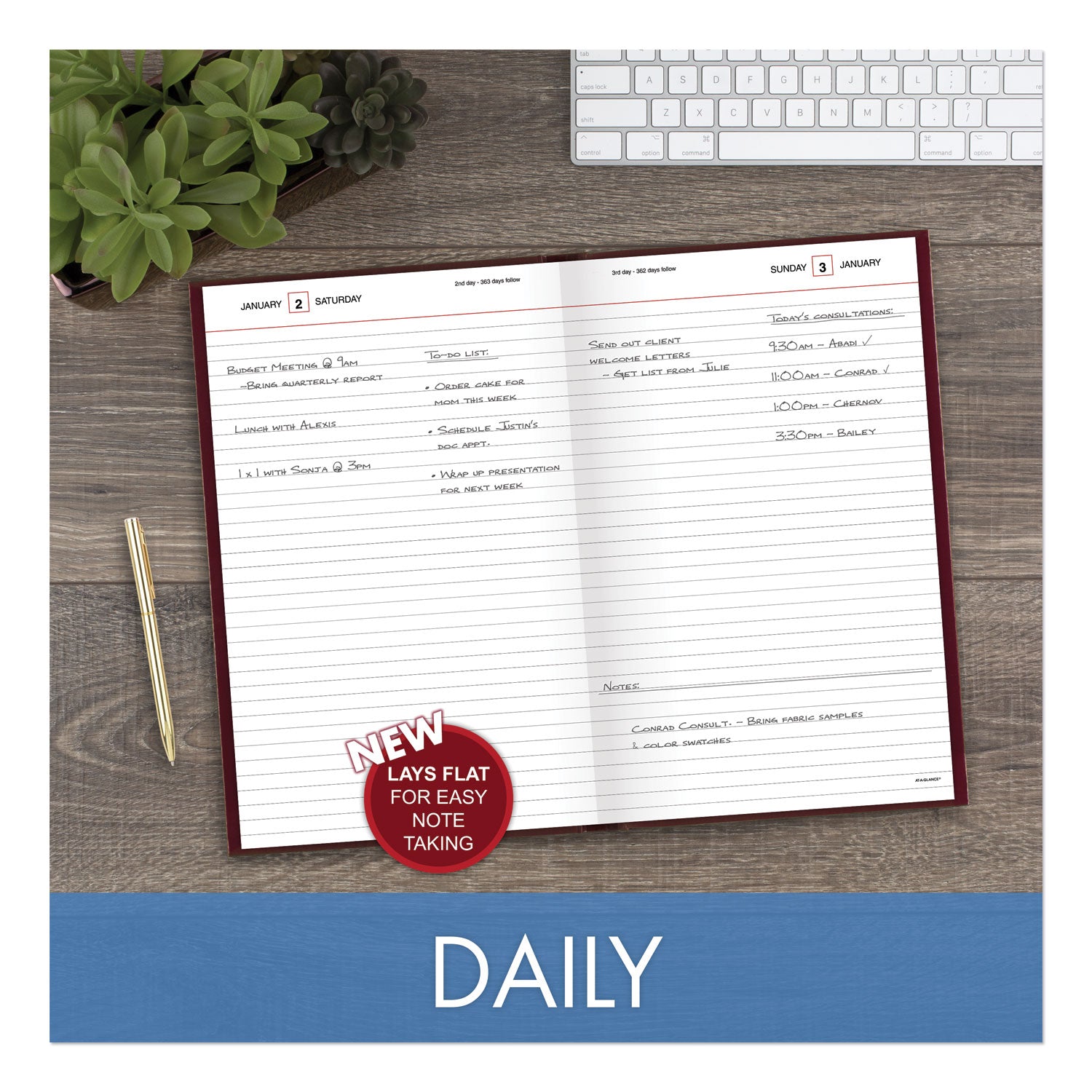 at-a-glance-standard-diary-daily-diary-num-aagsd37613_4