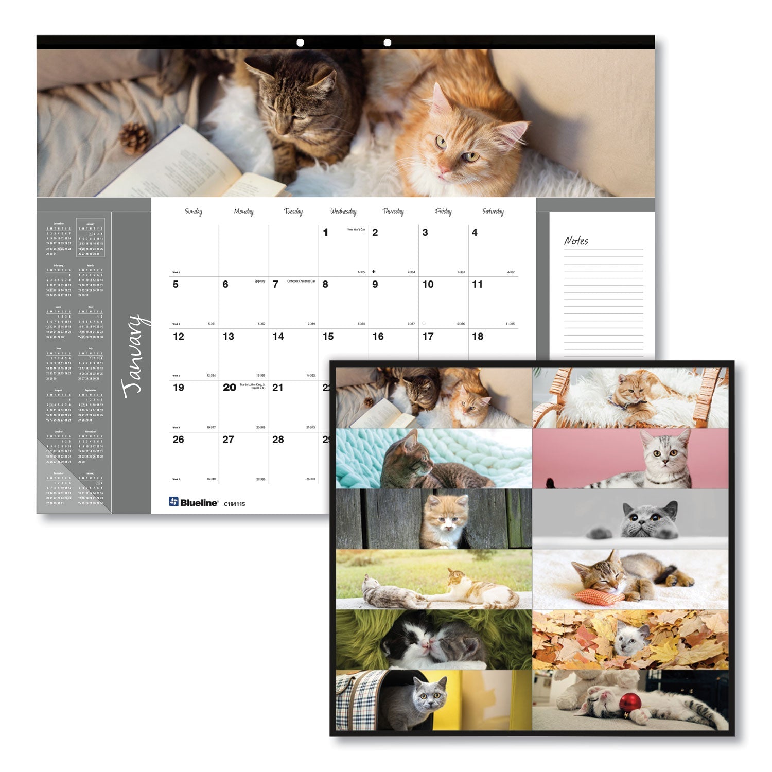 brownline-pets-collection-monthly-desk-pad-num-redc194115_1