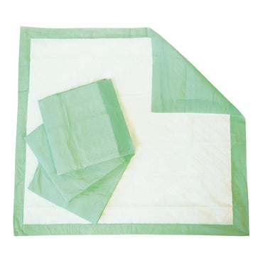 Tranquility® Essential Disposable Underpad 28 X 30 Inch Super Absorbent Material Moderate Absorbency (696235_BG)