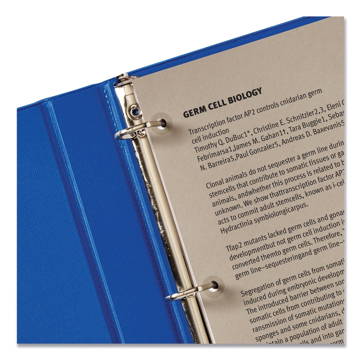 avery-dispenser-pack-hole-reinforcements-num-ave05722_5