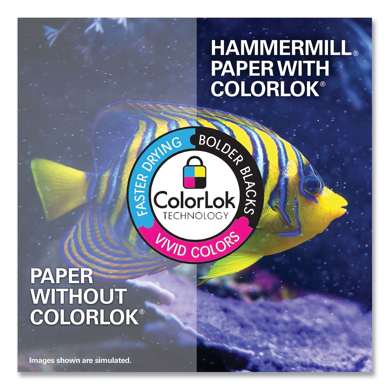 hammermill-white-num-ham102500_6