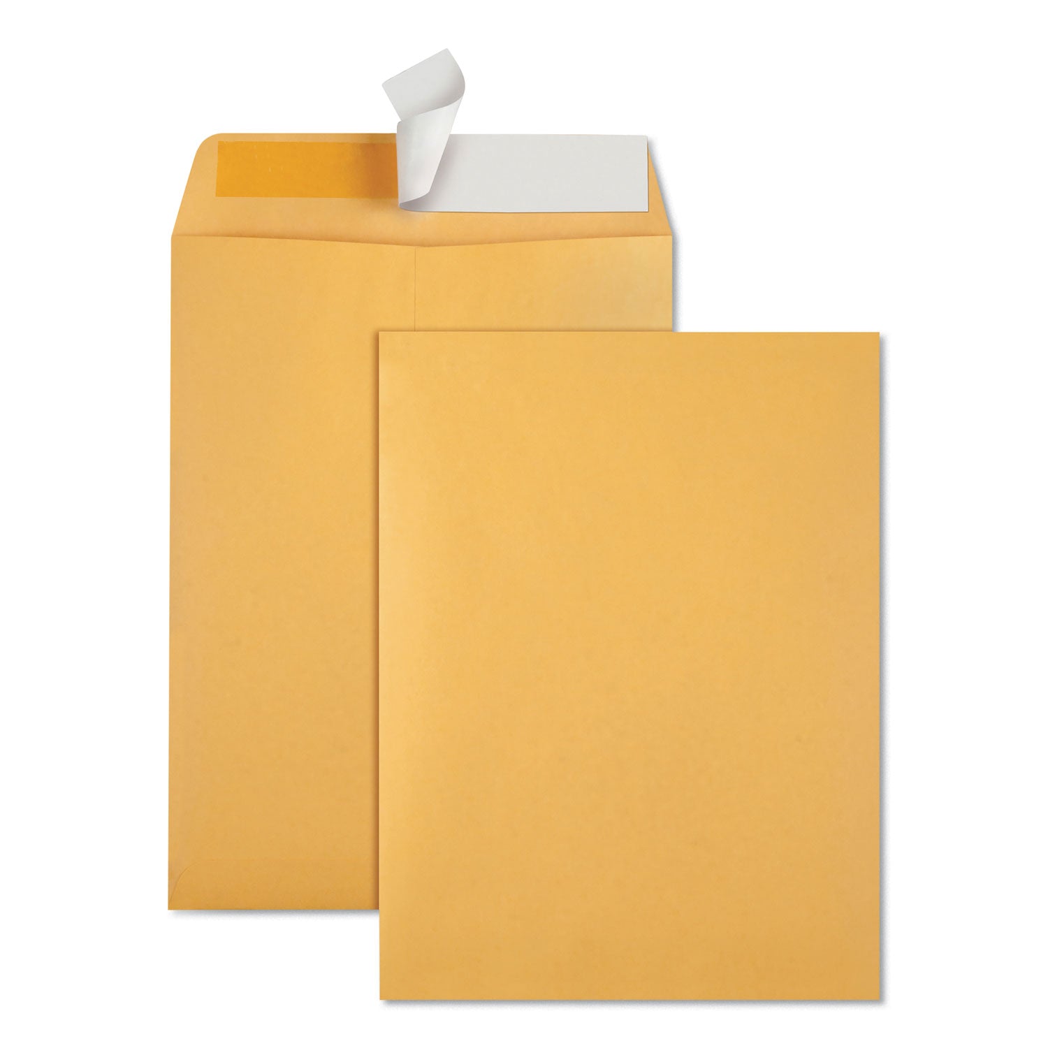quality-park-redi-strip-catalog-envelope-num-qua44562_1