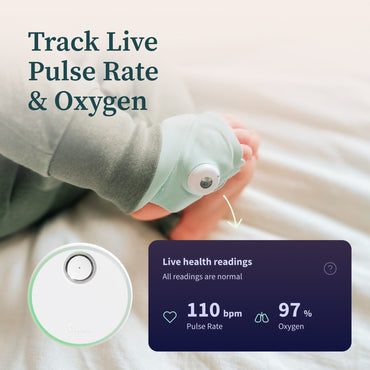 Owlet® Dream Duo Baby Monitoring System Dusty Rose (1250197_EA)