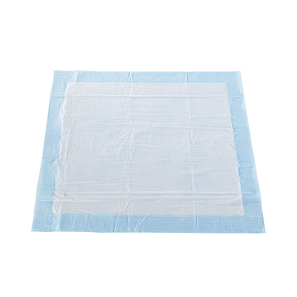 McKesson Classic Plus Disposable Underpad 23 X 24 Inch Fluff / Polymer Light Absorbency (730985_BG)
