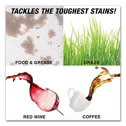 spray-n-wash-stain-remover-num-rac75551ct_6