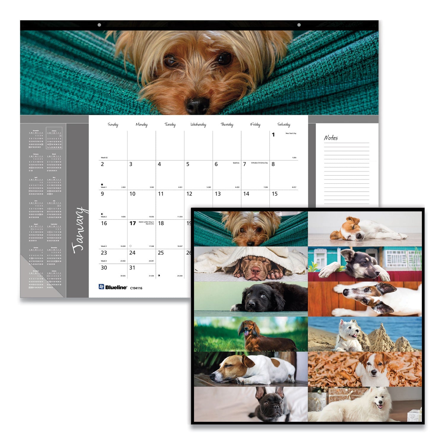 brownline-pets-collection-monthly-desk-pad-num-redc194116_2