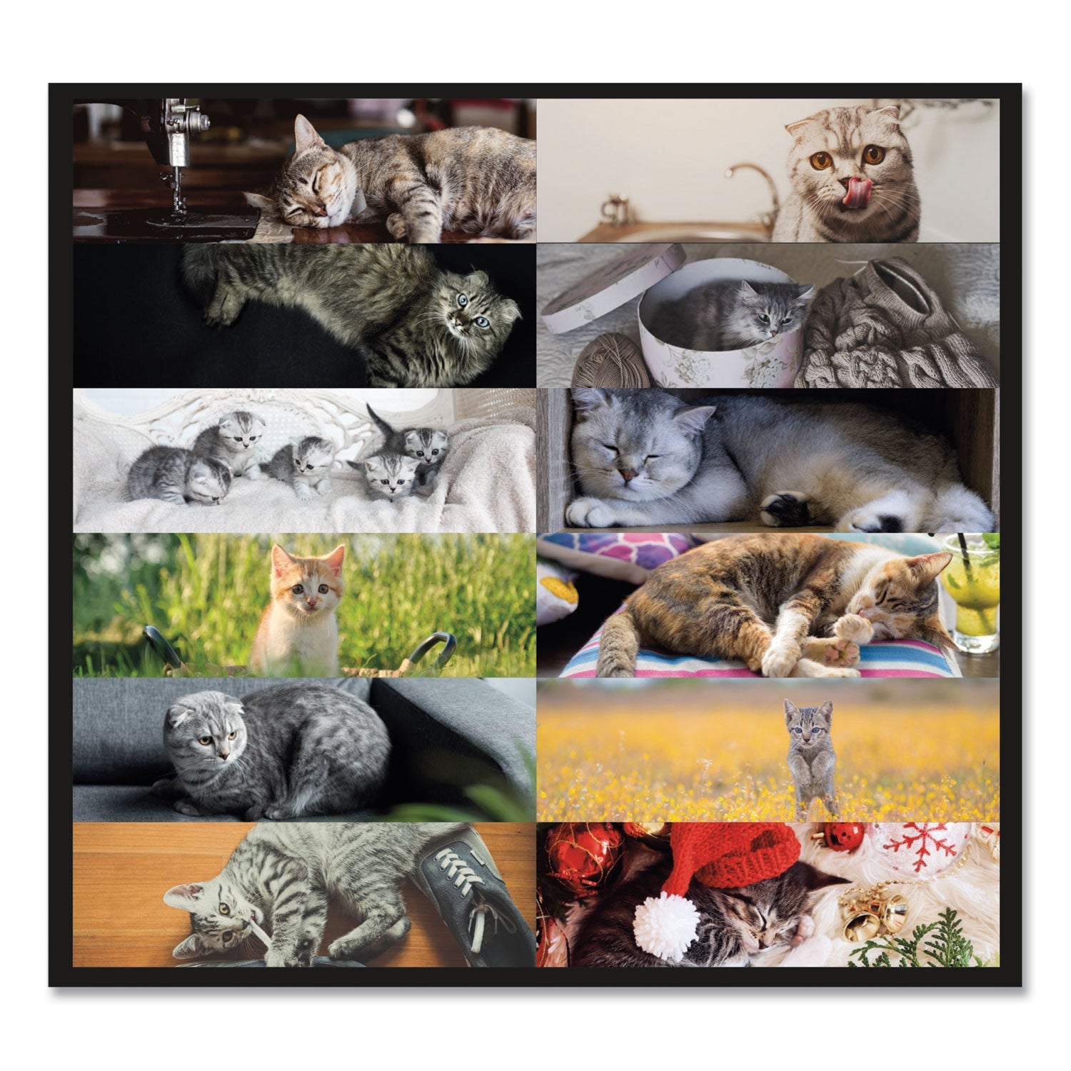 brownline-pets-collection-monthly-desk-pad-num-redc194115_4