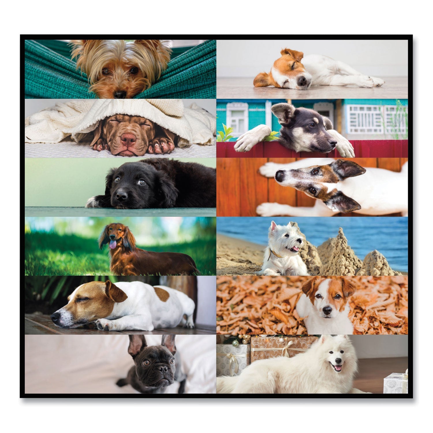 brownline-pets-collection-monthly-desk-pad-num-redc194116_3