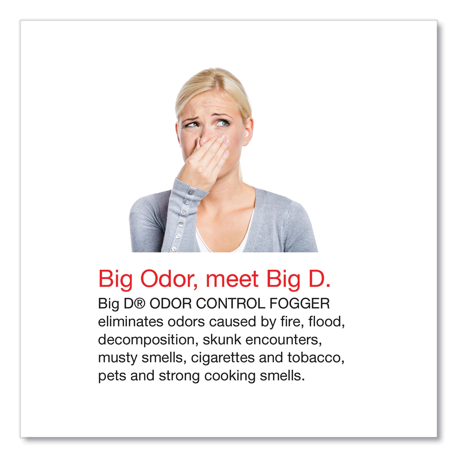 big-d-mountain-air-odor-control-fogger-64583-sq-ft-5-oz-original-1-each-odor-neutralizer-num-bgd341ea_2