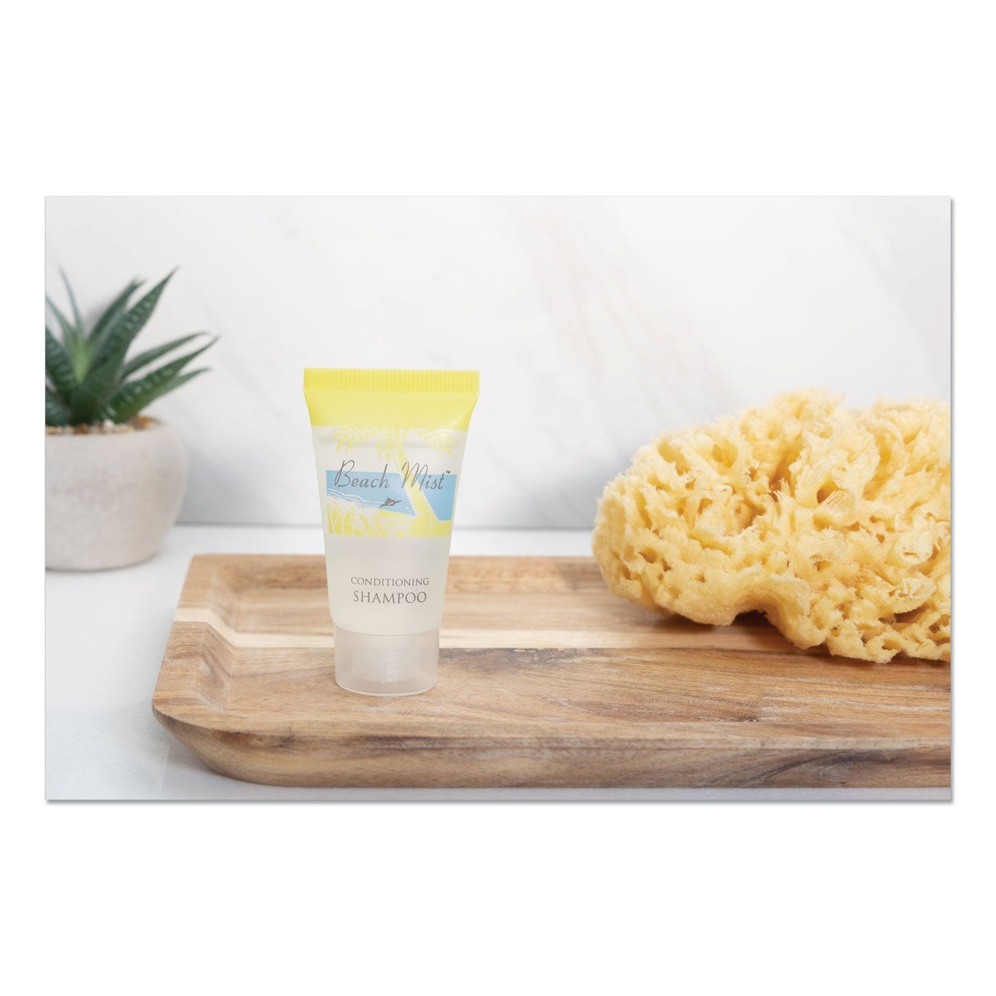 vvf-amenities-shampoo-num-bch423_4