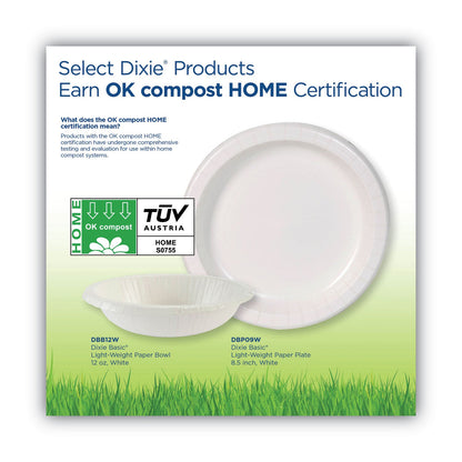 dixie-basic-paper-dinnerware-num-dxedbp09w_4