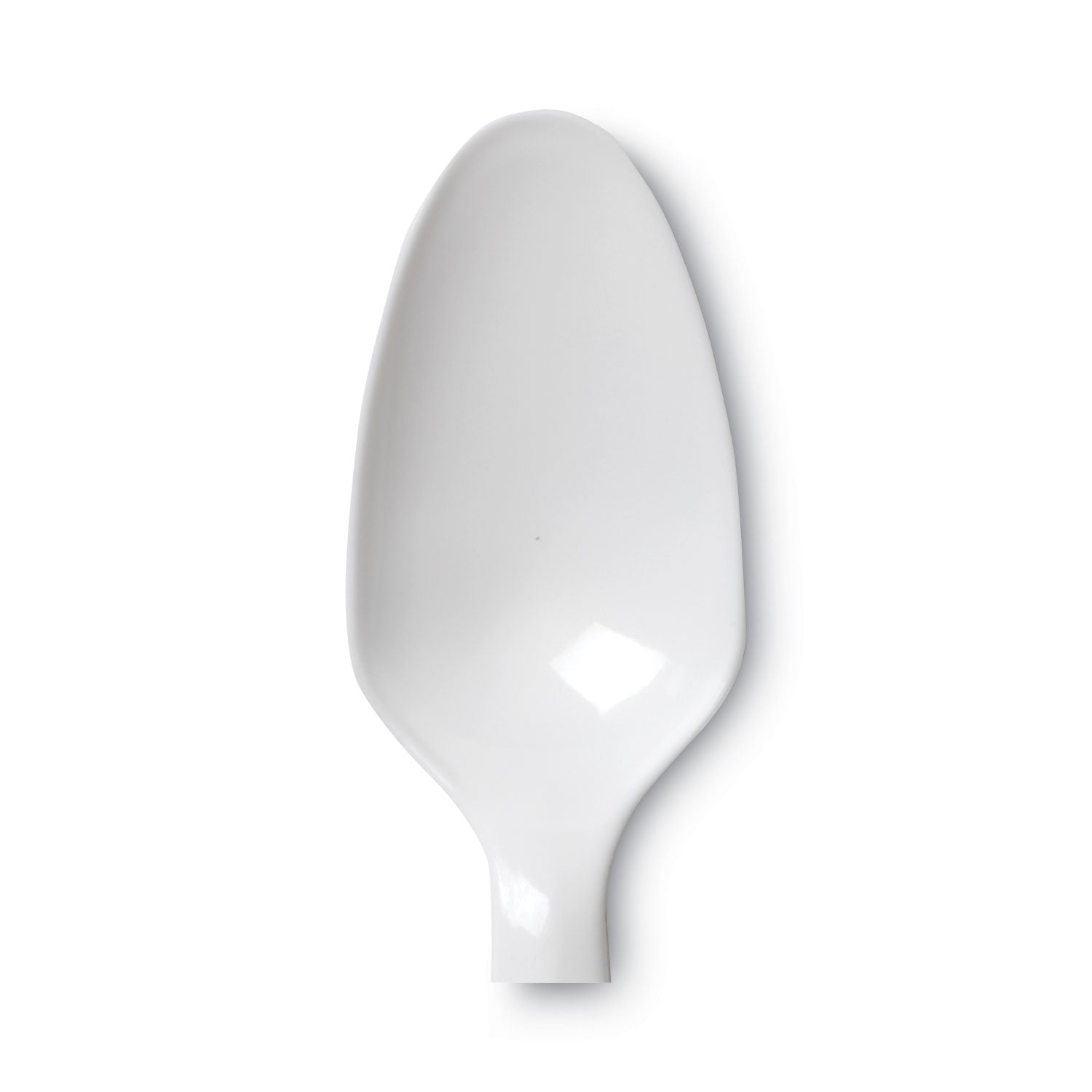 dixie-plastic-cutlery-num-dxeptm21_2