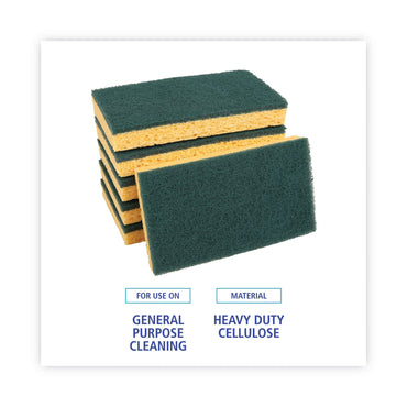 boardwalk-scrubbing-sponge-num-pmp174_2