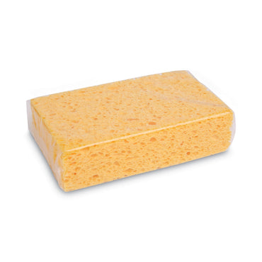boardwalk-medium-cellulose-sponge-num-padcs2_2
