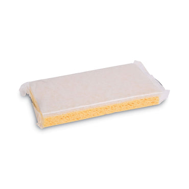 boardwalk-scrubbing-sponge-num-pad16320_2