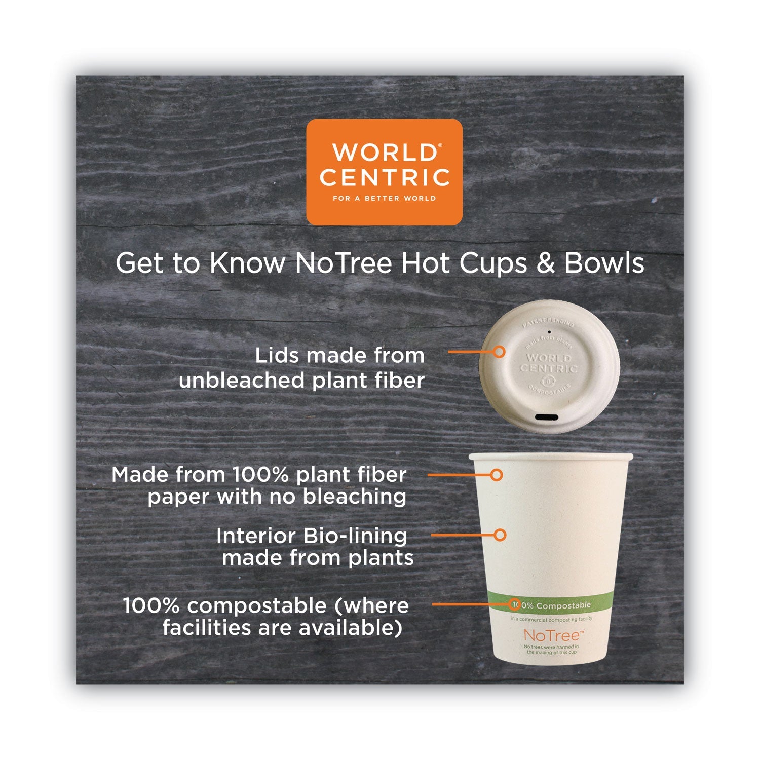 world-centric-no-tree-paper-bowls-num-worbosu24_5