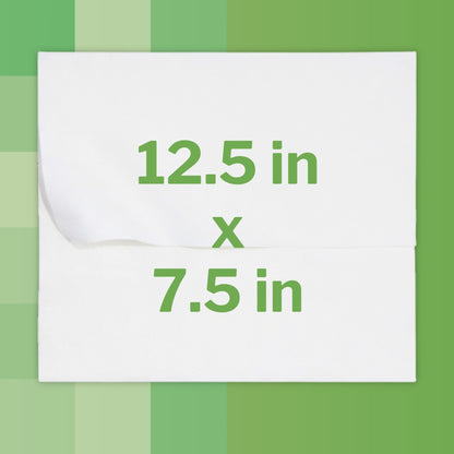 McKesson Flushable Personal Wipe Soft Pack Unscented 48 Count (1241745_PK)