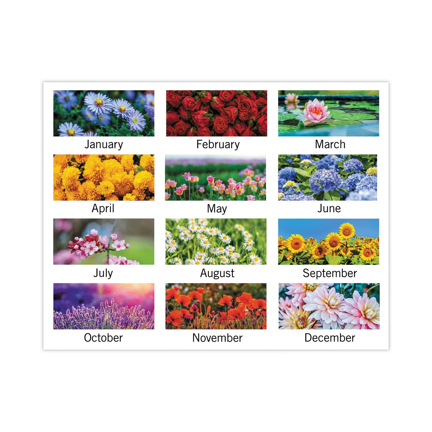 at-a-glance-floral-panoramic-desk-pad-num-aag89805_3